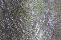 Llanasa fibreglass roof work